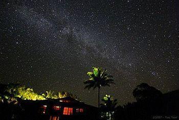 Macadamia Meadows Farm Bed & Breakfast Naalehu Exterior foto